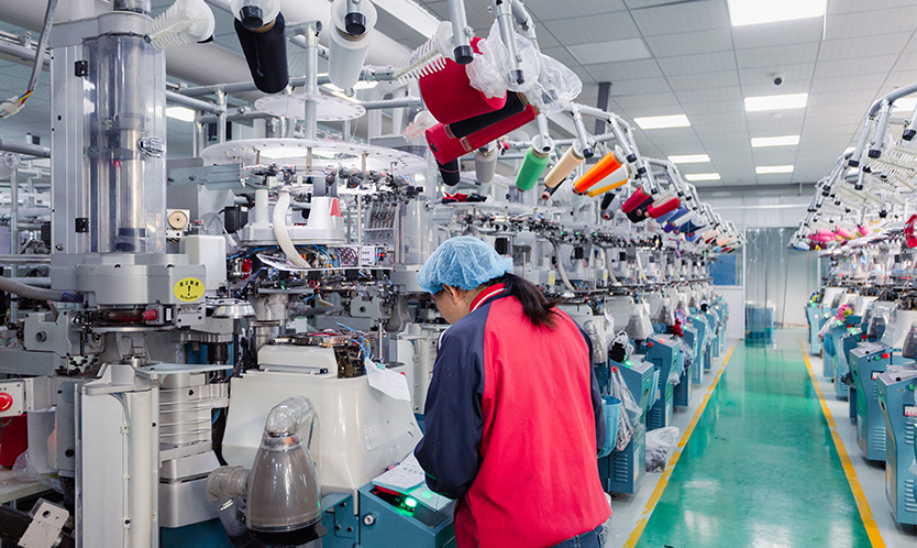 Inspección en línea y previa al envío