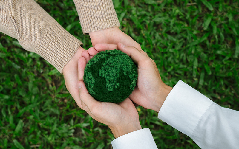 Haining City Bonroy Trading Co., Ltd.